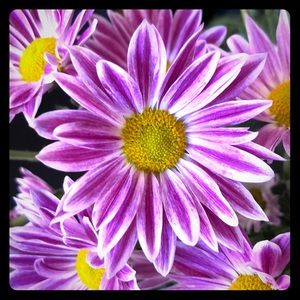 🌸 Bundle 2+ & Save 15%! 🌸